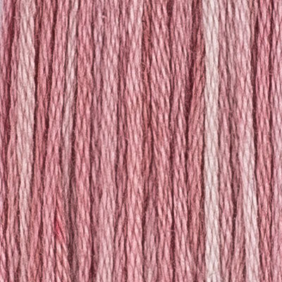 81 Clarkia- Embroidery Floss 2x5m - House Of Embroidery