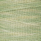 1120 Wasabi - Weeks Dye Works - Mouliné 6 brins