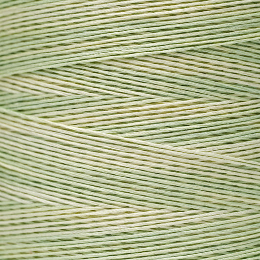 1120 Wasabi - Weeks Dye Works 6-Strand Floss