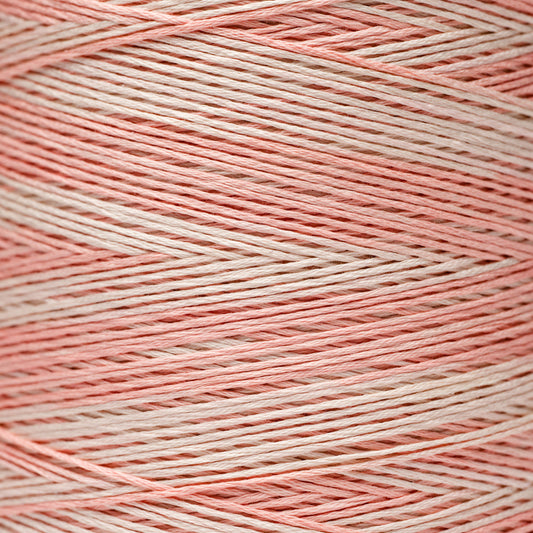 1129 Peach Fuzz - Weeks Dye Works 6-Strand Floss