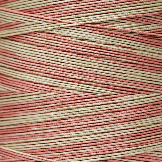 1132 Saltwater Taffy - Weeks Dye Works 6-Strand Floss