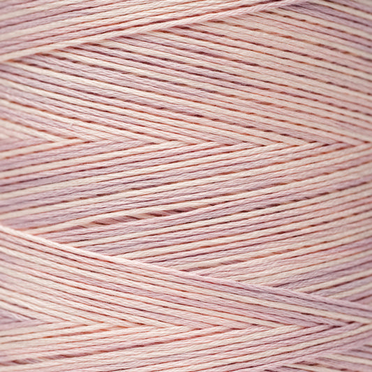 1139 Chablis - Weeks Dye Works 6-Strand Floss