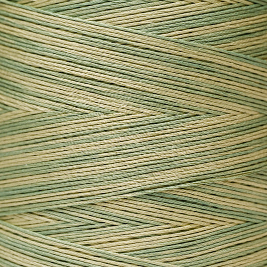 1183 Artichoke - Weeks Dye Works 6-Strand Floss