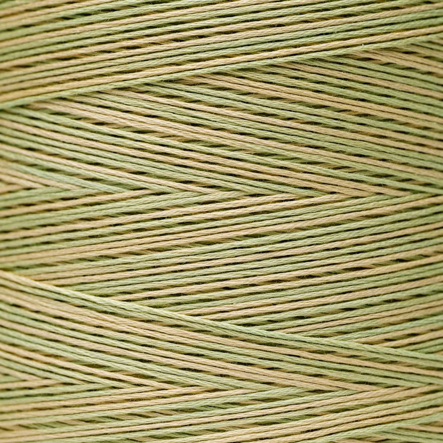 1189 Butter Bean - Weeks Dye Works 6-Strand Floss