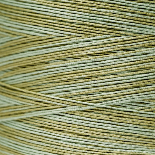 1191 Dried Sage - Weeks Dye Works - Mouliné 6 brins