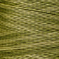 1193 Guacamole - Weeks Dye Works 6-Strand Floss