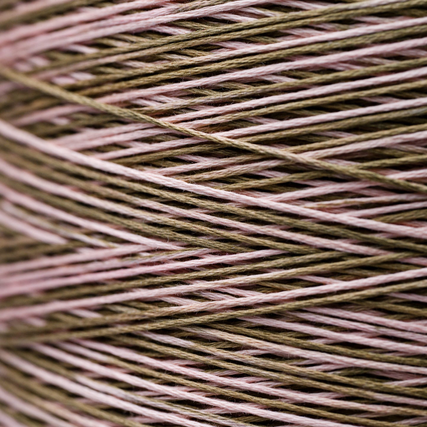 1231 Neapolitan - Weeks Dye Works 6-Strand Floss