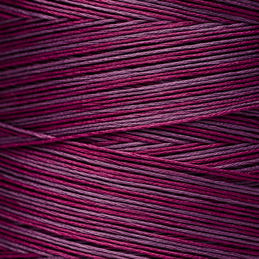 1318 Concord - Weeks Dye Works 6-Strand Floss