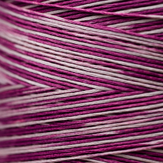 1337 Raspberry Tart - Weeks Dye Works 6-Strand Floss