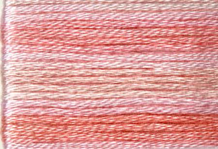 8005 Variegated Embroidery Floss 8m - Cosmo