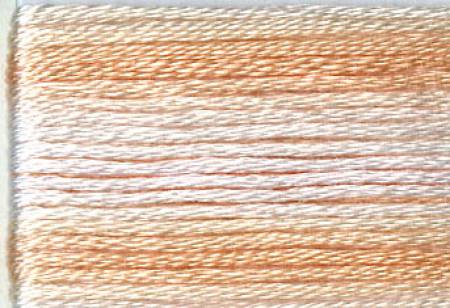 8045 Variegated Embroidery Floss 8m - Cosmo