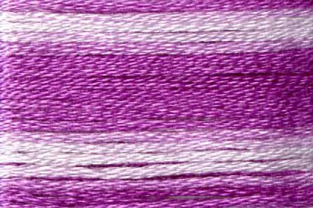 8060 Variegated Embroidery Floss 8m - Cosmo